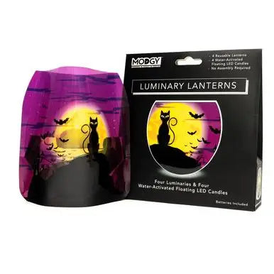 Luminary Lantern - Salem - Halloween Black Cat